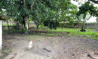 Imagem 7: Vendo ou troco Chácara na beira da BR-235 em Areia Branca/SE, medindo 4 tarefas, com baia