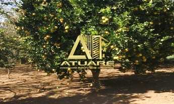 Imagem 7: Excelente sítio em Silvianópolis, Minas Gerais