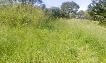 Imagem 5: 54 alqueires em Minaçu Goiás