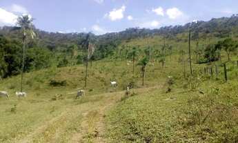 Imagem 2: 54 alqueires em Minaçu Goiás
