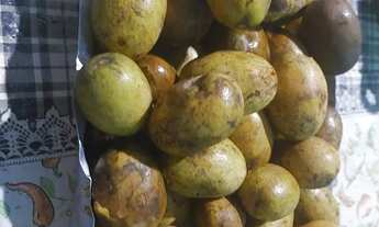 Imagem 4: Vendo sitio muito prospero