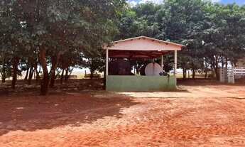 Imagem 5: Fazenda 2.900 hec em Feliz Natal MT