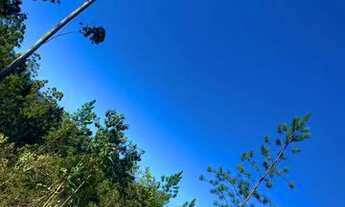 Imagem 4: Desperte para uma vida mais serena: Terrenos de chácara disponíveis em Mairinque!