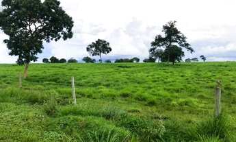 Imagem 2: Fazenda de 2.414 alqueires em Flores Goias