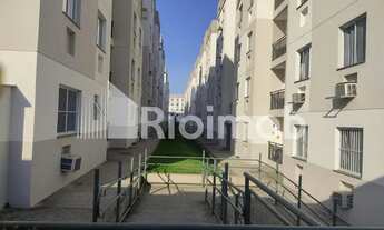 Imagem 6: Taquara Apartamento com 2 dormitórios