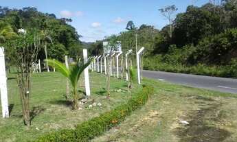 Imagem 5: Terreno na pista AM010, Km 51 com 1.000.000m2 - 860 mts de frente. 8 Fontes