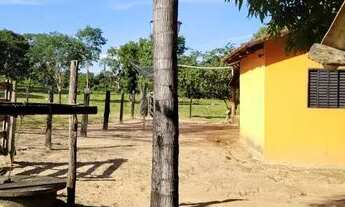 Imagem 2: Fazenda 19 Alqueires em Palmeirópolis TO 5KM da cidade