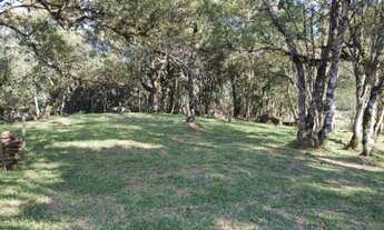 Imagem 5: Chácara 2,45 hectares à venda em Urubici-SC
