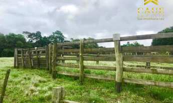 Imagem 4: OPORTUNIDADE!!! 35 Hectares com infraestrutura, apenas 3,5km da RS040