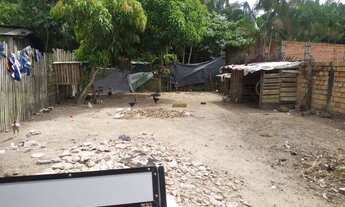 Imagem 5: Casa Casa com 2 dormitórios