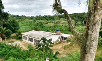 Imagem 3: Casa com mini sítio