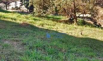 Imagem 6: Terreno no Caminhos de San Conrado
