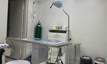 Imagem 2: Clinica Veterinária