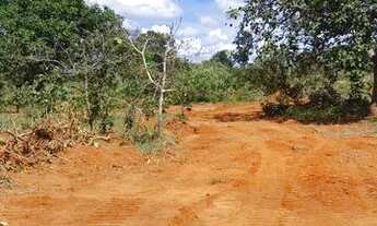 Imagem 6: Valor de Pré-Lançamento Fazendinhas Excelentes com Pagamento Facilitado