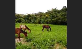 Imagem 3: Fazenda Maracanã