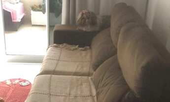 Imagem 10: Ágio, apartamento com 02 quartos, 48m, qs 404, Samambaia norte