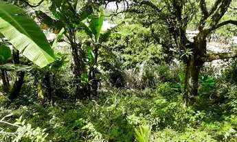 Imagem 4: Vendo terreno grande com galpão