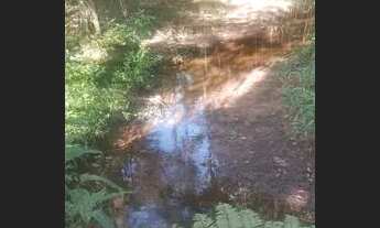 Imagem 6: Chácara Tagaçaba de cima , Município de Guaraqueçaba