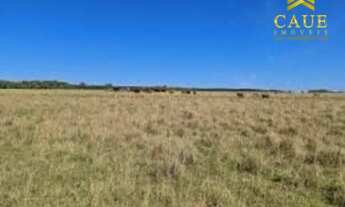 Imagem 3: Sítio de 7,5 hectares