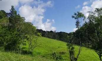 Imagem 7: Para criar 20 mil mts rico em água pastos