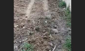 Imagem 4: Terreno Terreno / lote com venda por R$55.000