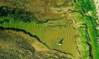 Imagem 7: Terreno à venda no bairro Praia do Forte - Mata de São João/BA