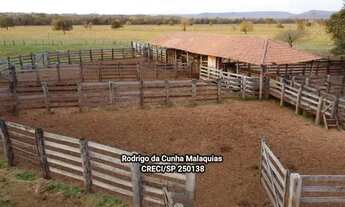 Imagem 4: Fazenda Pecuária à Venda em Coxim - MS