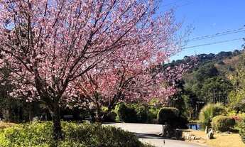 Imagem 5: Venda de Casa de Condomínio em São Paulo