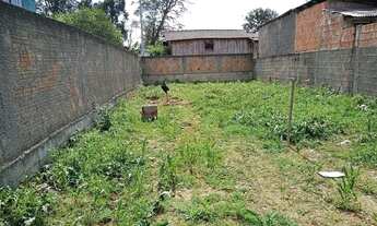 Imagem 3: Terreno todo Murado e plano