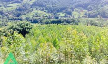 Imagem 6: Ótimo terreno rural, em Benedito Novo!