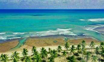 Imagem 5: Terreno à venda no bairro Praia do Forte - Mata de São João/BA