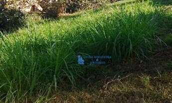 Imagem 2: Terreno no Caminhos de San Conrado