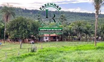 Imagem 4: Fazenda / chácara 10 Alqueires Dupla Aptidão