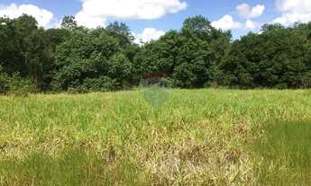 Imagem 2: Terreno AGRO à Venda em Alagoinhas, Bahia