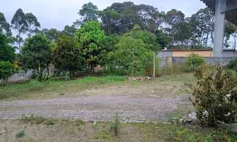 Imagem 6: Chacara local alto e ensolarado