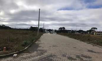 Imagem 4: OTIMO TERRENO PRONTO PARA CONSTRUIR