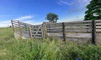 Imagem 7: Chácara à Venda em Goiás Velho - GO