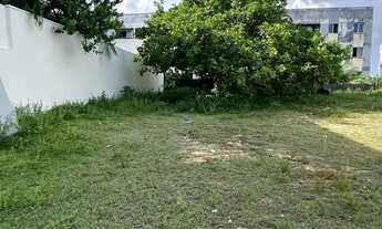 Imagem: TERRENO RESIDENCIAL em MANAUS - AM, CHAPADA