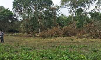 Imagem 7: Terreno escriturado Manacapuru no vale verde 2