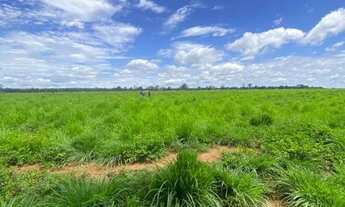 Imagem 4: Fazenda arrendamento 1.600hec em Poconé MT