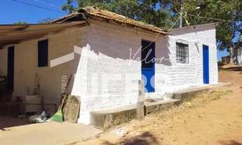 Imagem 6: Fazenda dupla aptidão - Bom Jardim de Goiás