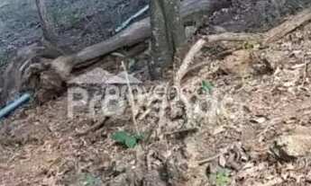 Imagem 4: ÁREA COM 58.000M² LOCALIZADA NA RODOVIA GO 080, KM 11,5, GOIÂNIA-GO