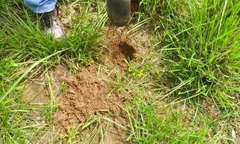 Imagem 3: Fazenda arrendamento 1.600hec em Poconé MT