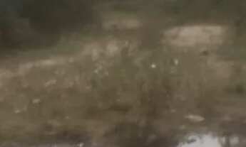 Imagem 5: Chacaras rurais em azurita