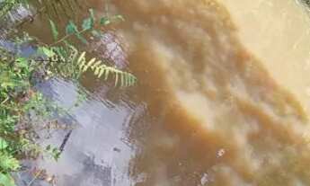 Imagem 4: Chácara para alugar