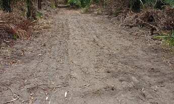 Imagem 5: Lotes parcelados para chácara em São Luis