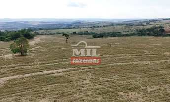 Imagem 4: Fazenda 20 alqueires (96,8 hectares) Itauçu - Go