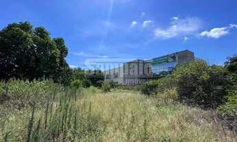 Imagem 7: Campo Grande Terreno / lote com aluguel por R$40.000 /mês