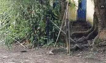 Imagem 4: Sítio à venda, ZONA RURAL - Ponte Nova/MG