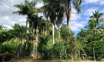 Imagem 7: Sítio em Boa Conserva próximo a Burarama